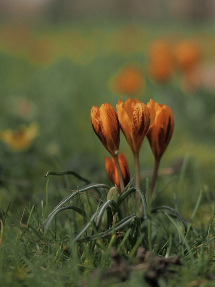 Фотография автора Александра Шилова