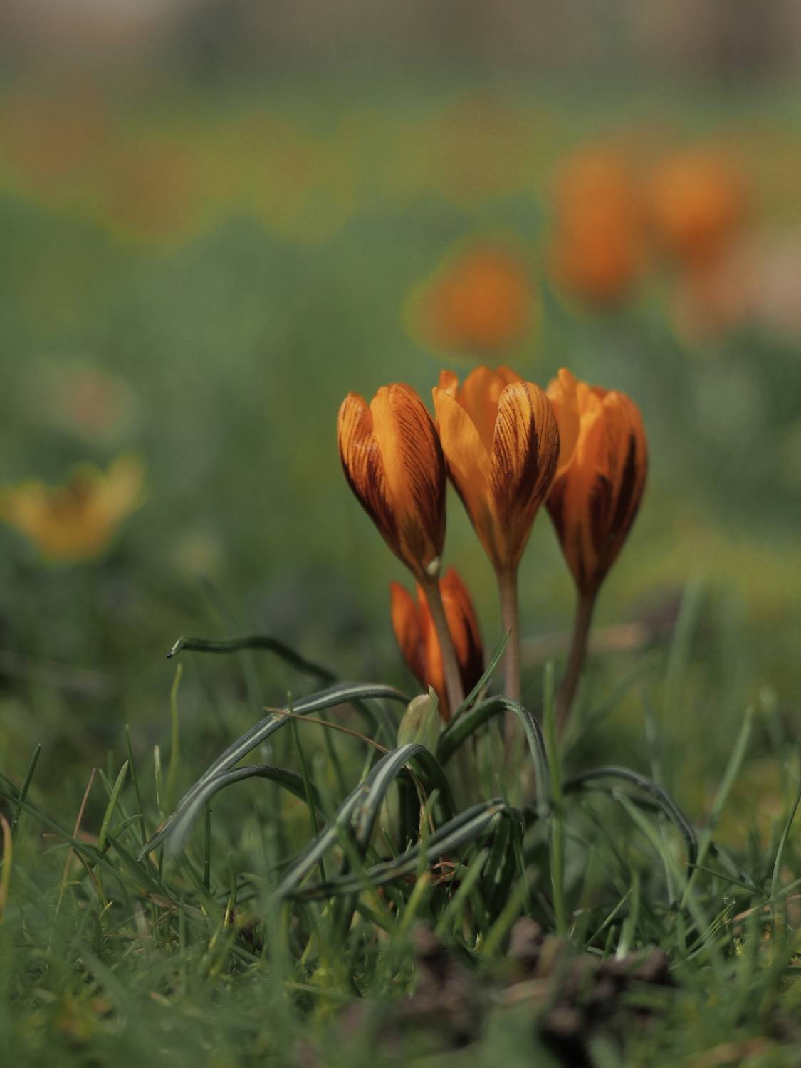 Фотография #13421614