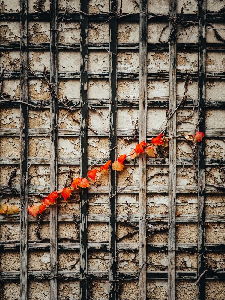 Фотография автора Александра Шилова