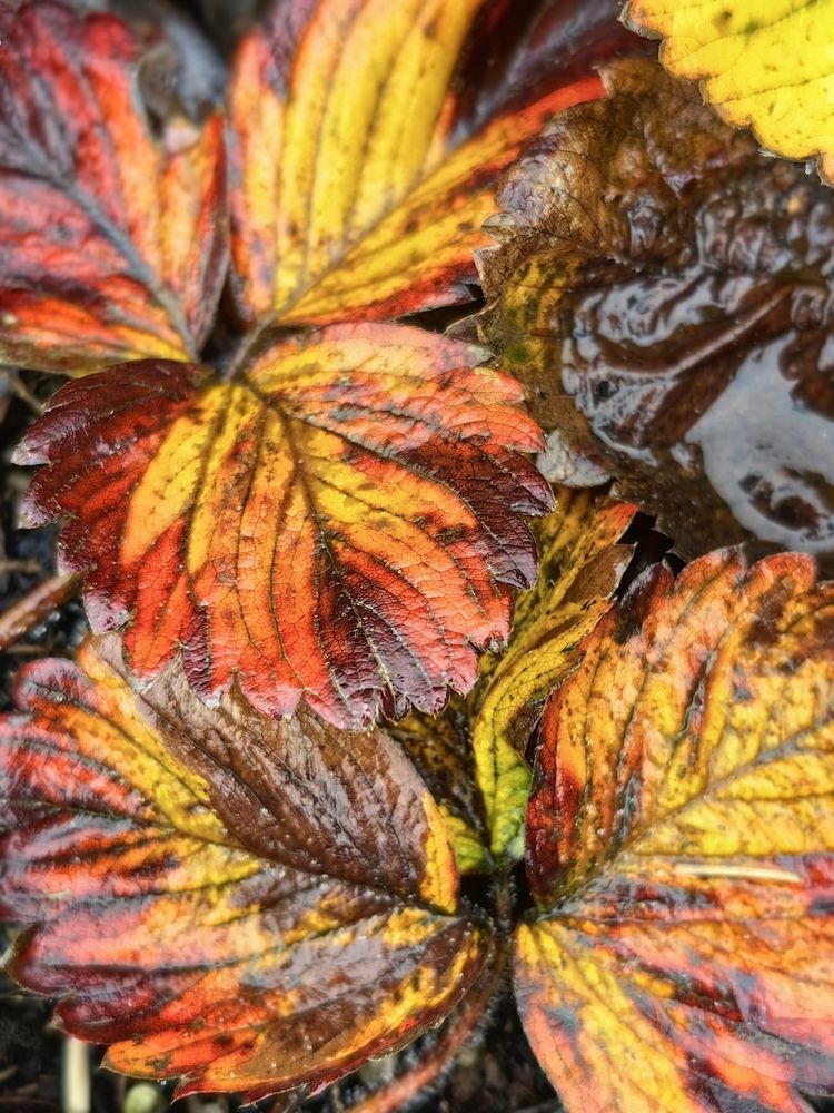 Photograph by OLGA MIKHNEVICH