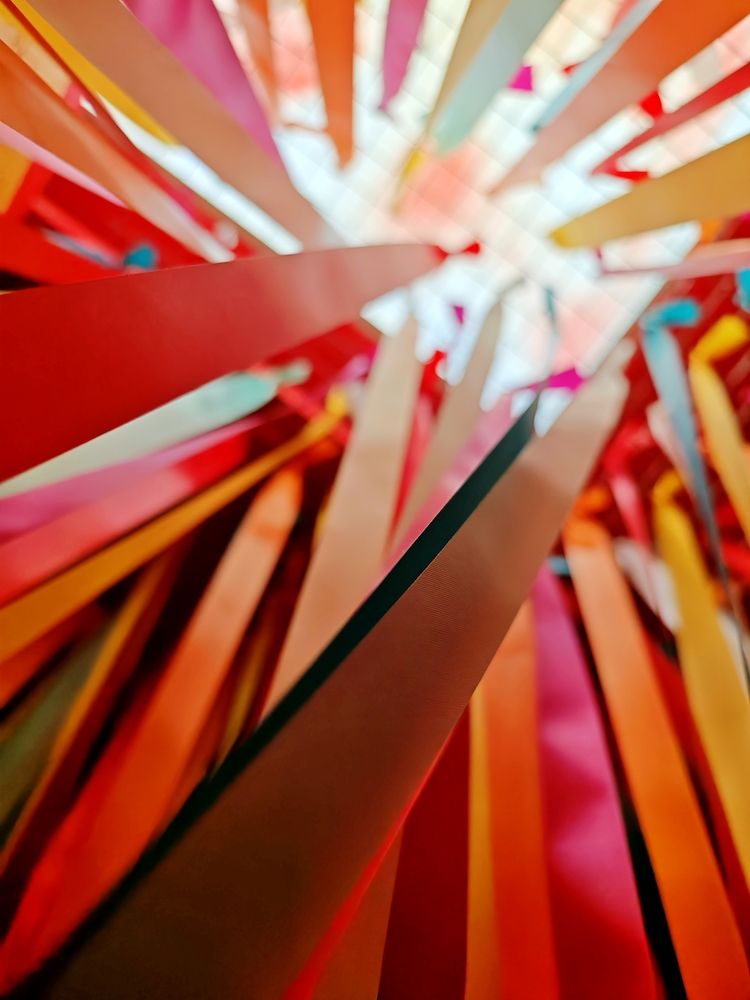 Фотография автора Ася Титова