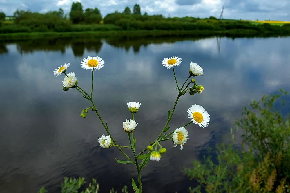 Фотография автора Игорь Чеботарёв