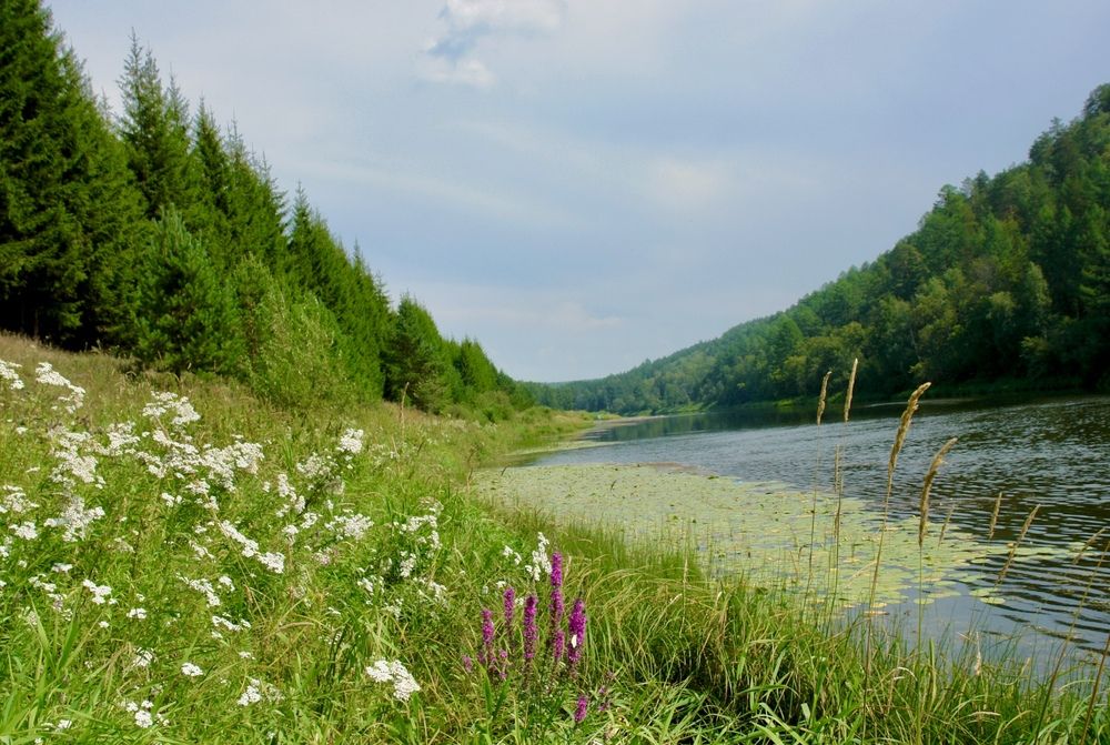Photograph by Ольга Савина