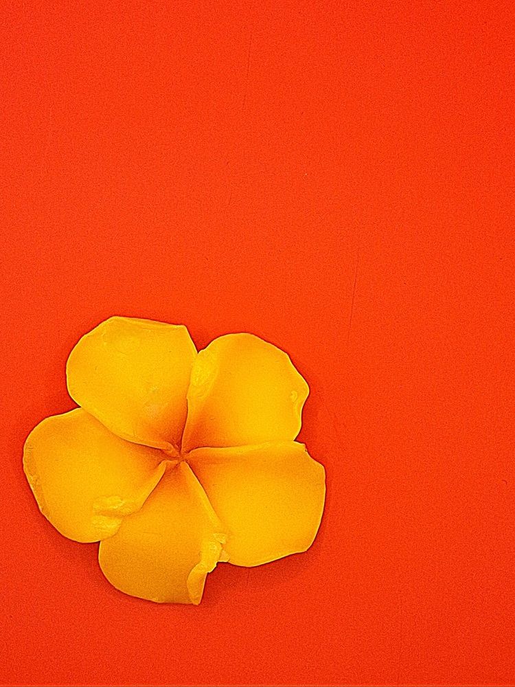 Photograph by Ольга Мольдон