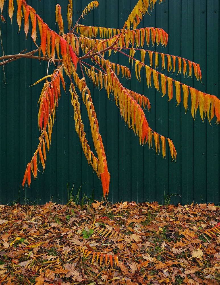 Photograph by Наталья Трофимова