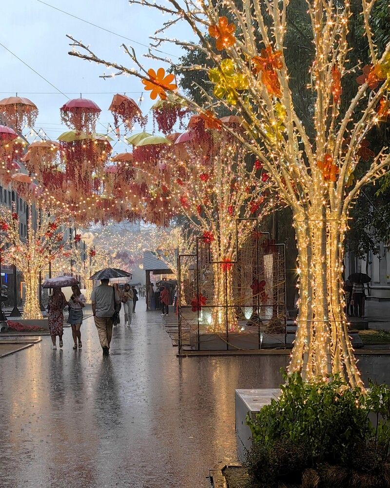 Летний дождь