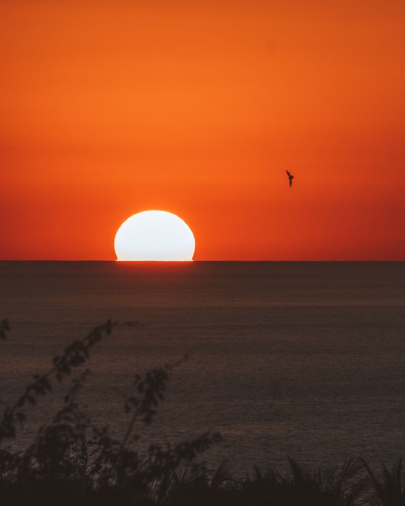 Photograph by Angela