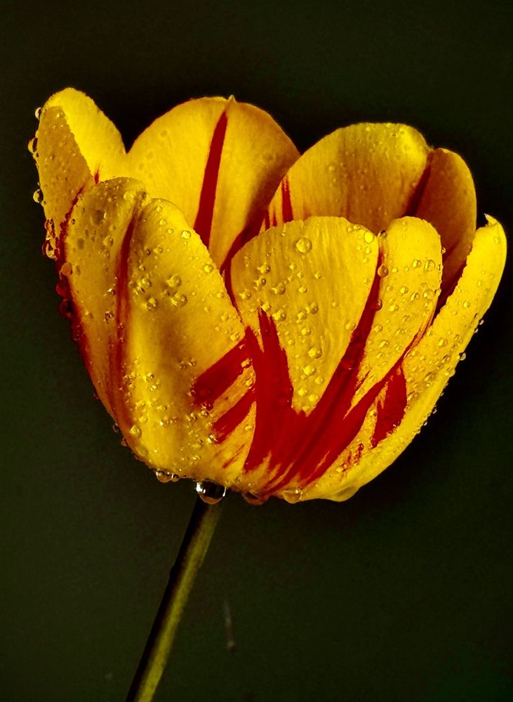 Фотография автора Евгения Иванова