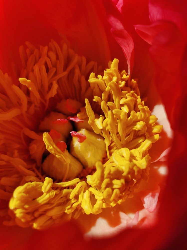 Photograph by Tatiana Potapenko