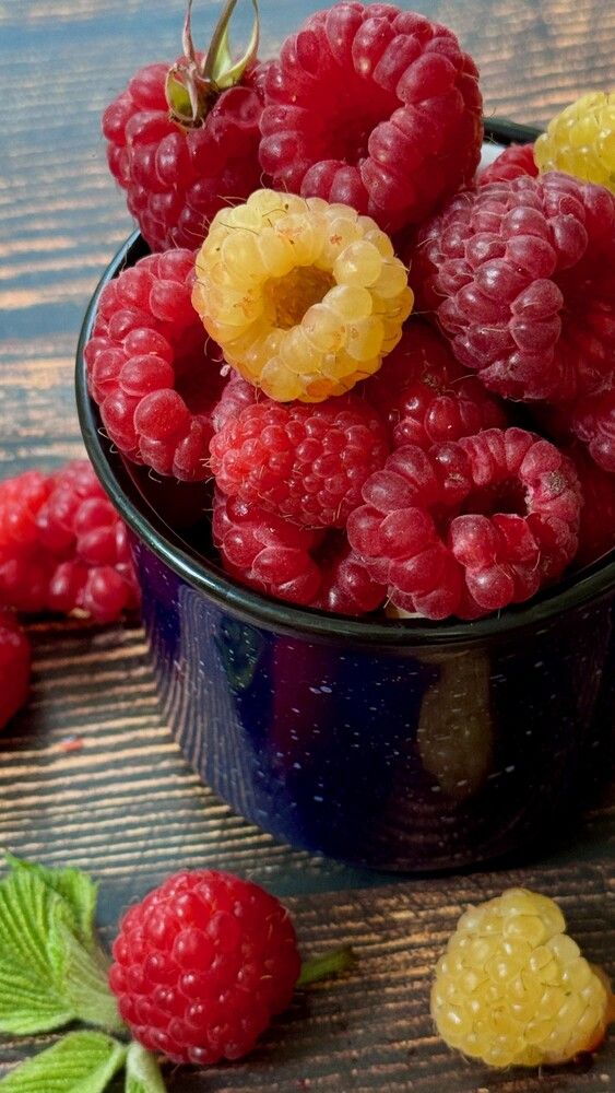 Фотография автора Евгения Иванова