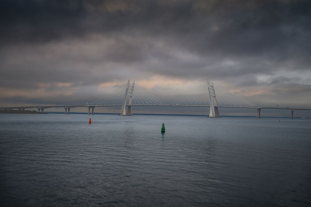 Photo #13421853