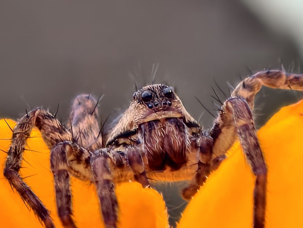 Photograph by Евгений Аксененко
