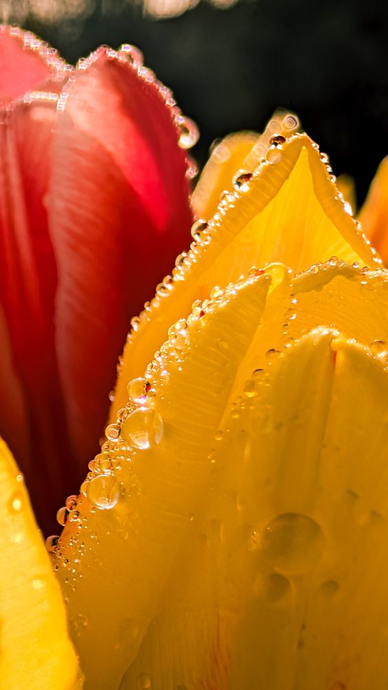 Фотография автора Iryna Usanova