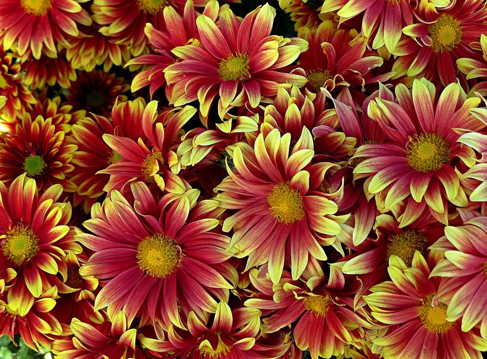 Photograph by Фартушняк Сергей