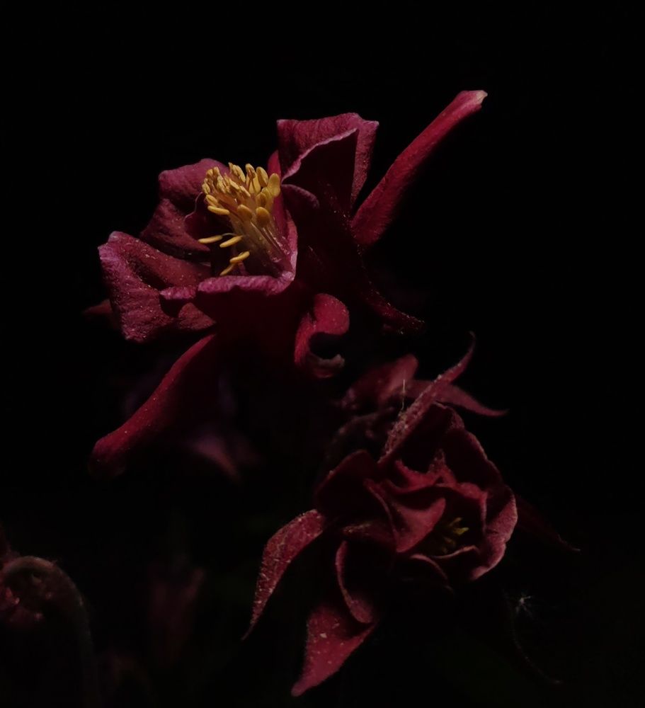 Photograph by Alexander Svetlov