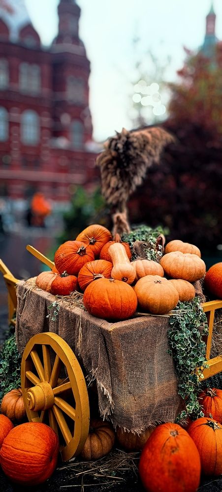 Photograph by Irina Prazdnikova