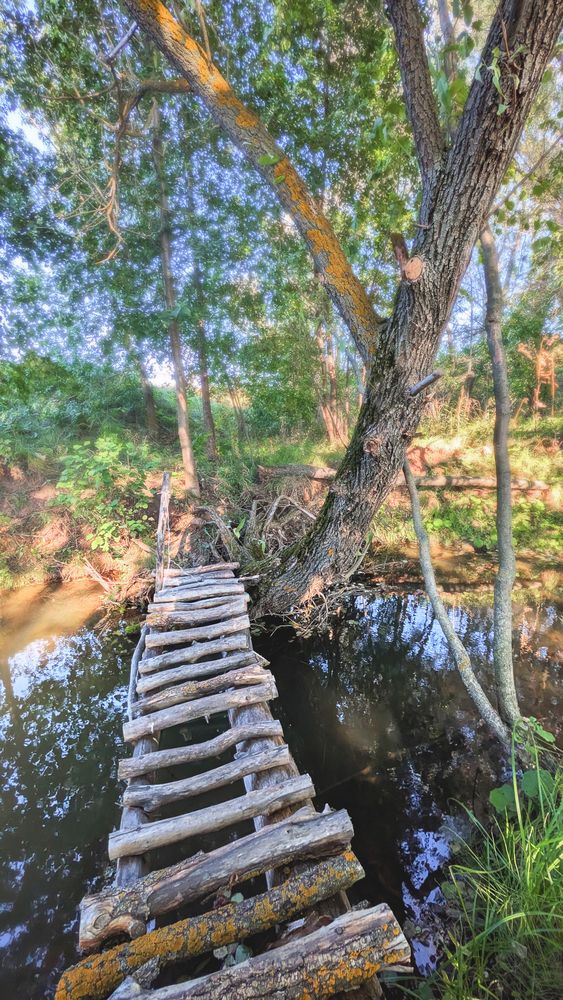 Photograph by Юлия Максимова