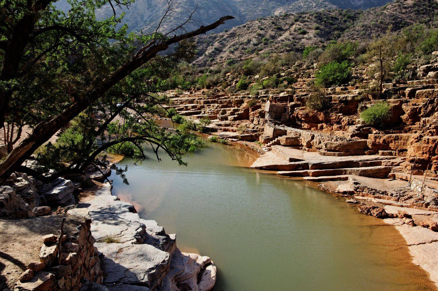 Фотография #13422083