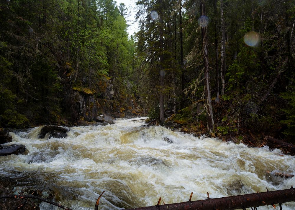 Photograph by Марина Третьякова