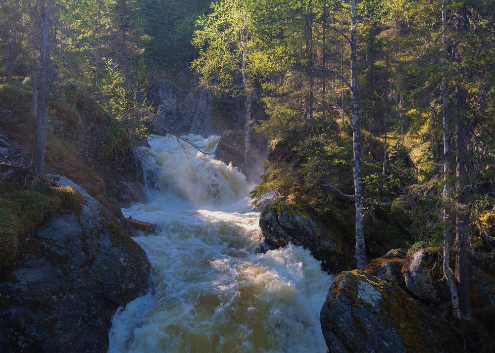 Photograph by Марина Третьякова