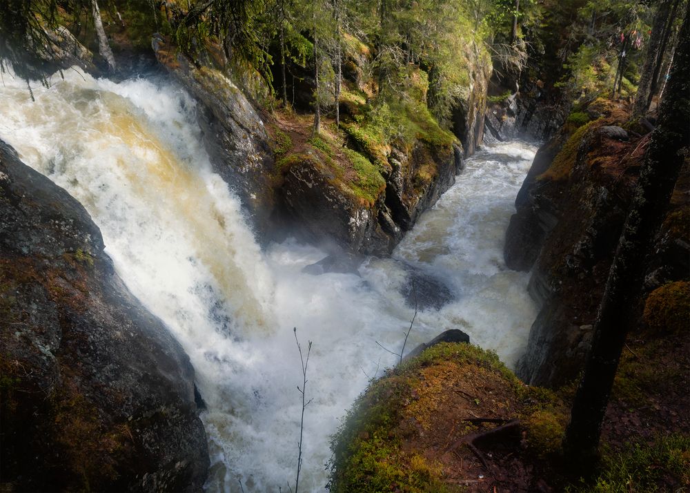 Photograph by Марина Третьякова