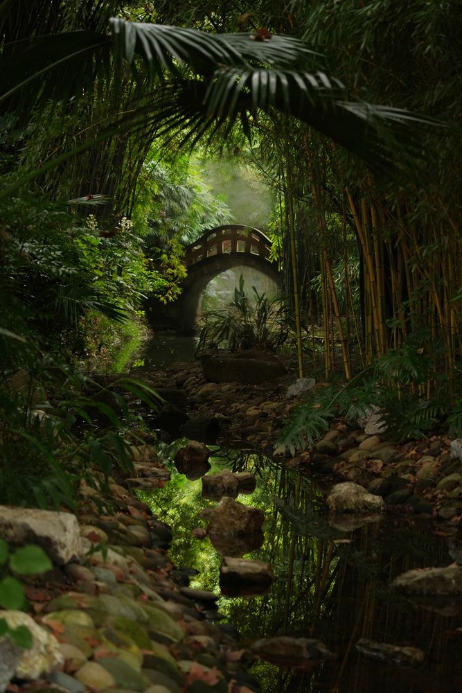 Фотография автора Светлана Зимина