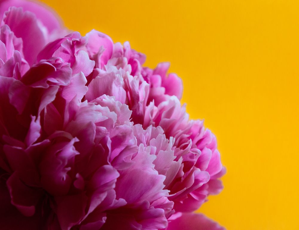 Фотография автора Tigran Simonyan