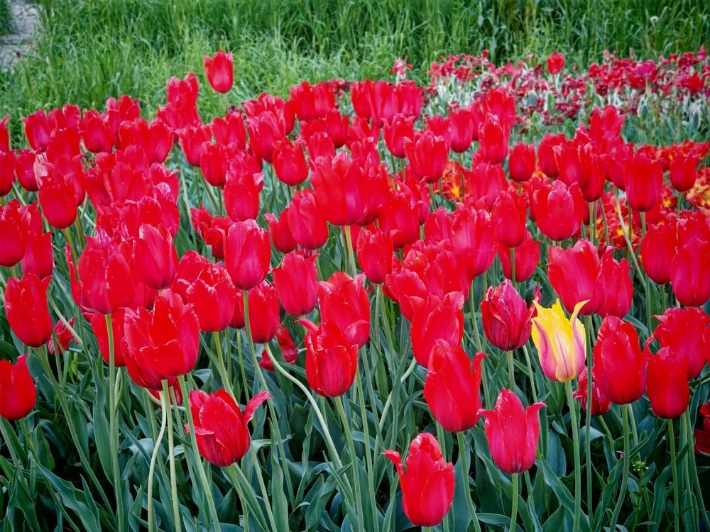 Photograph by Ольга Кузнецова