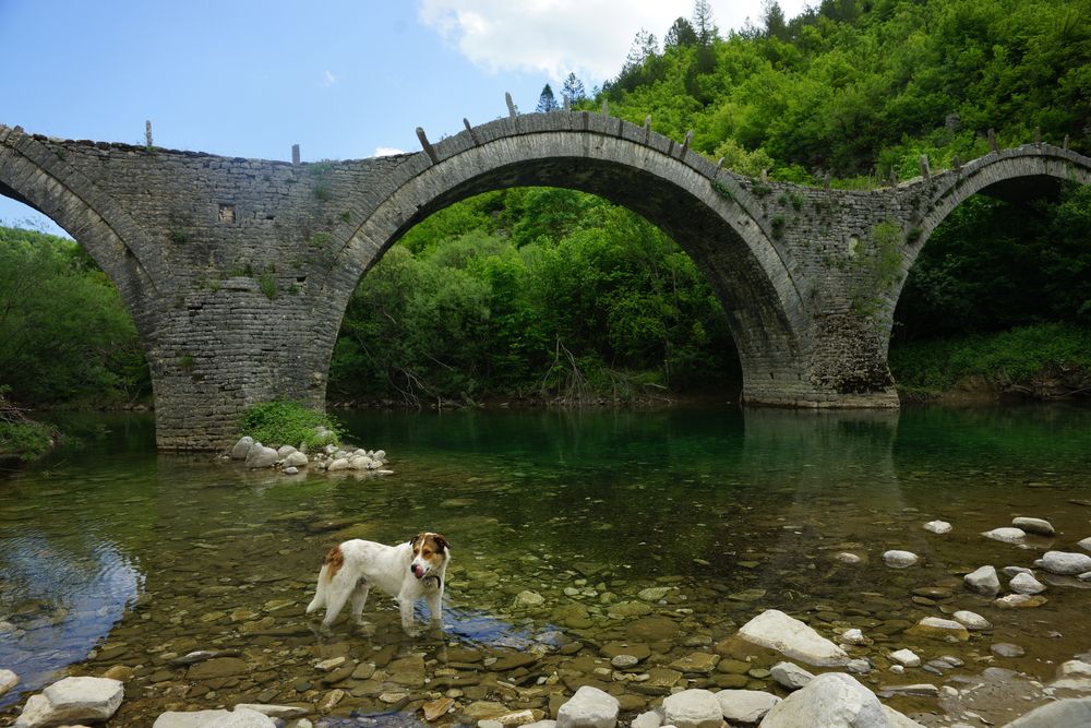 Фотография автора Светлана Зимина
