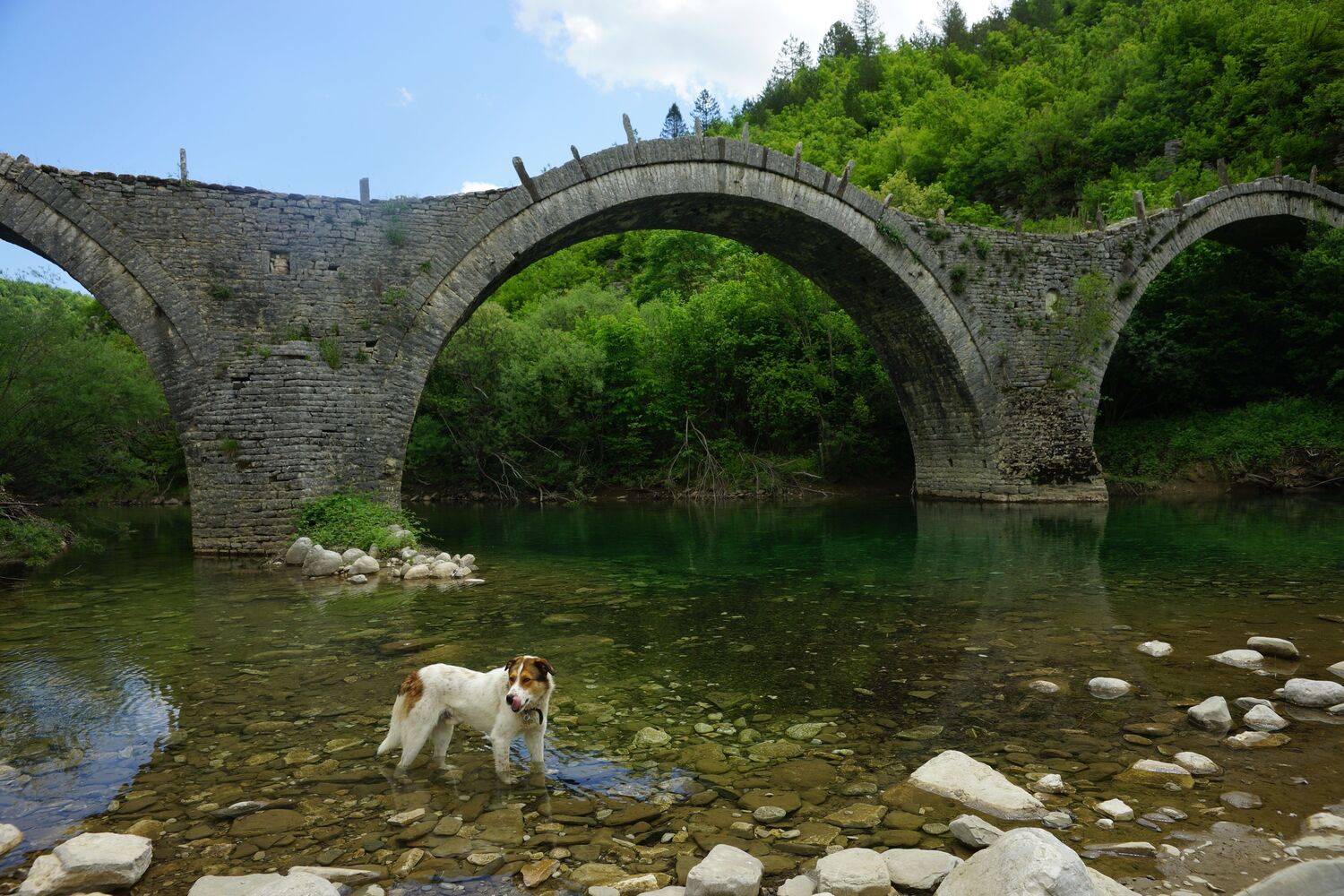 Фотография #13422162