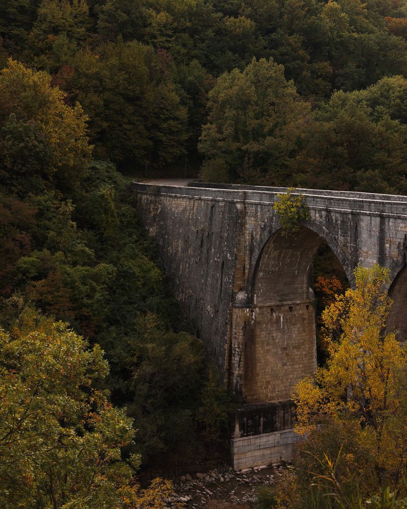 Photograph by Mayya Khrolovich