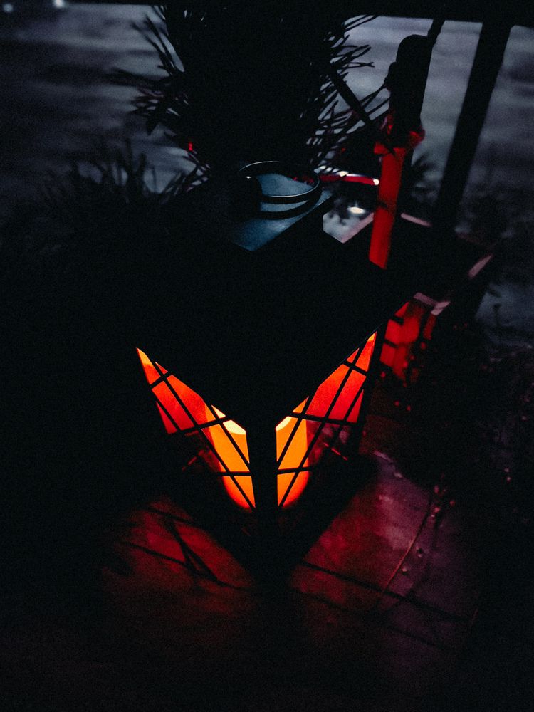 Фотография автора Алиса Исаева