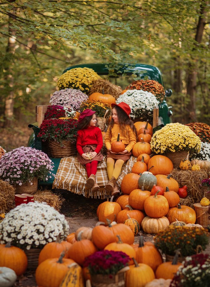 Photograph by Светлана Шведова