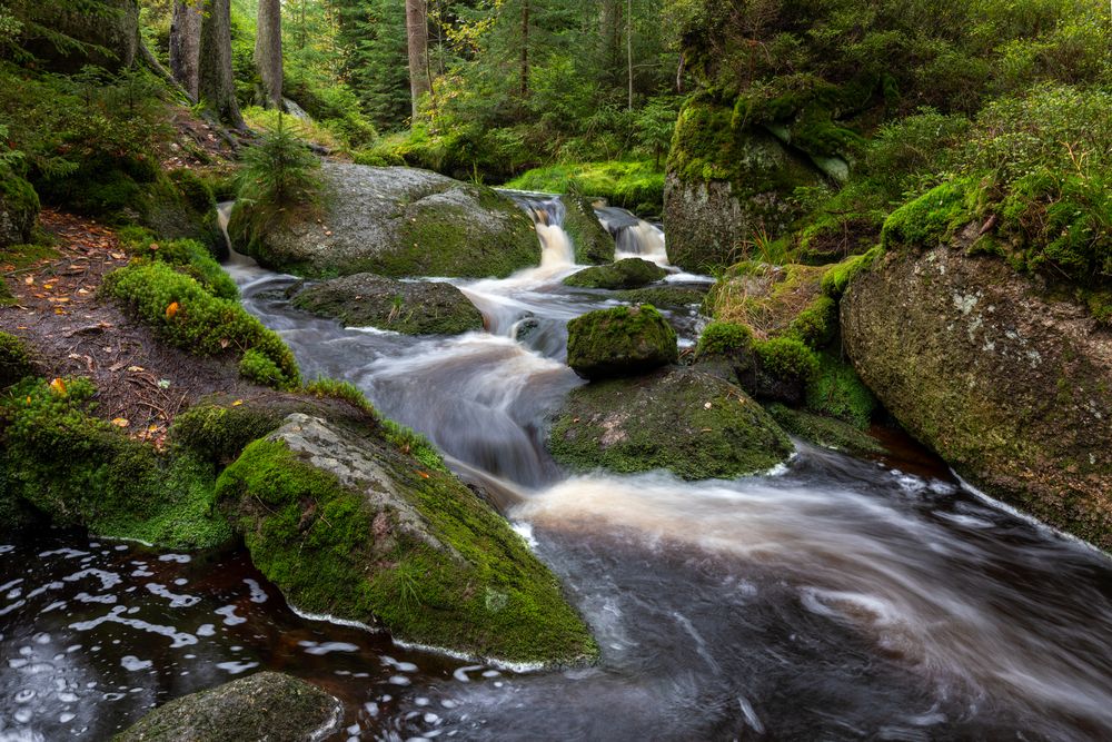 Photograph by Евгения Чех