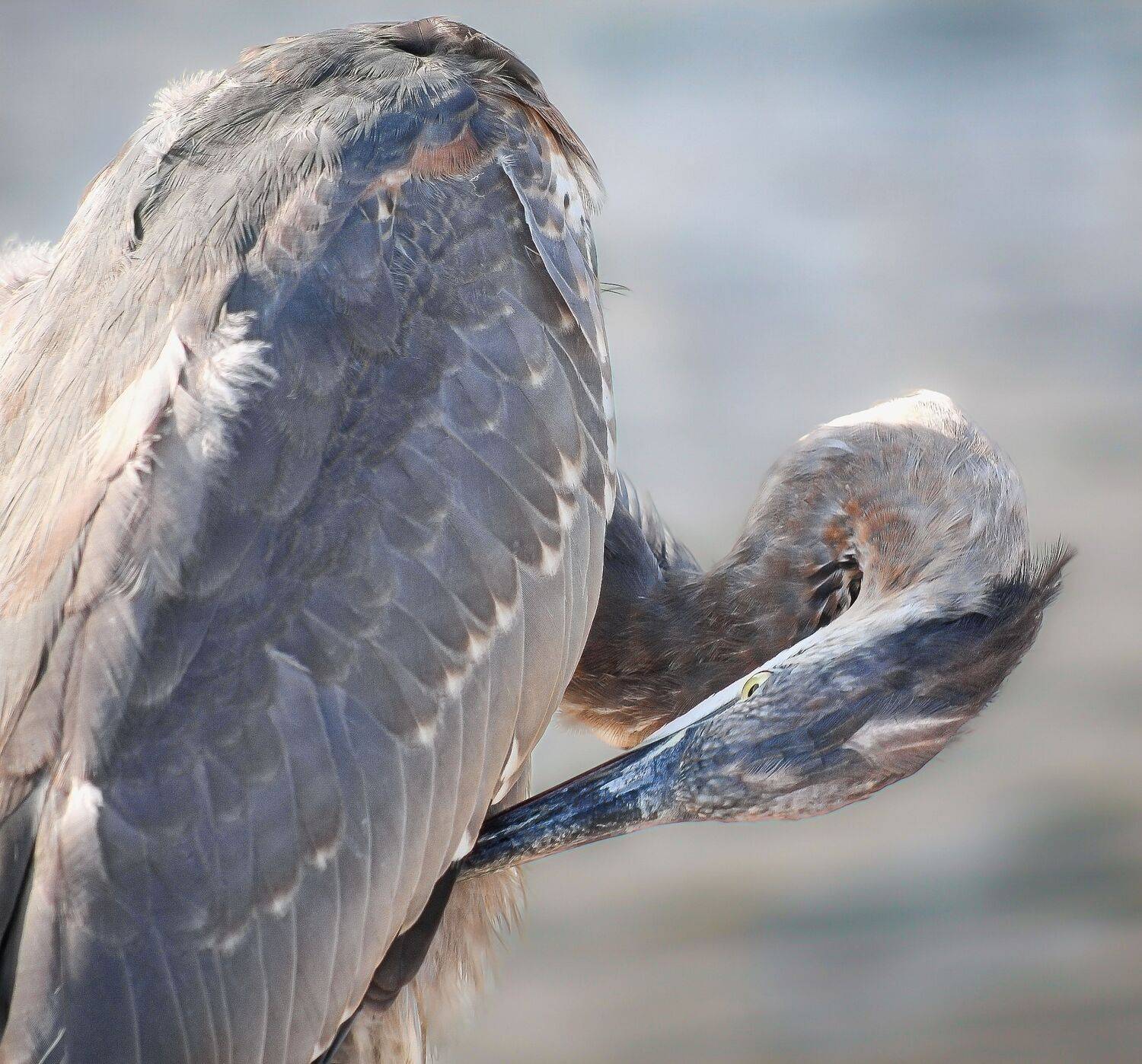 The Art of Self Care