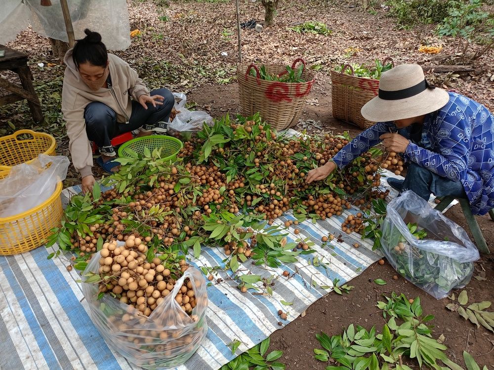 Photograph by Tân Trần Thanh
