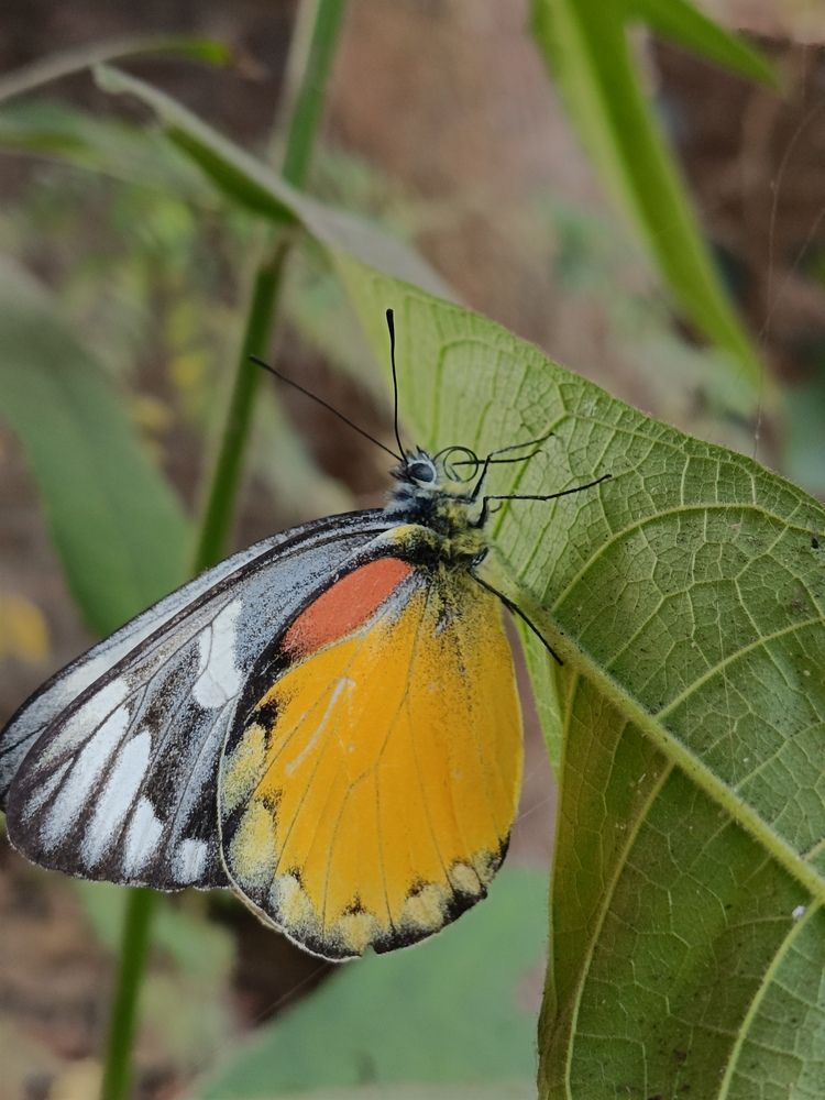 Photograph by Tina Gogoi