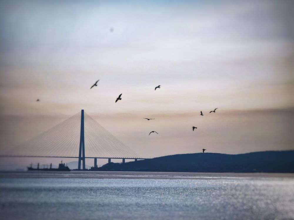 Photograph by Елена Ласун