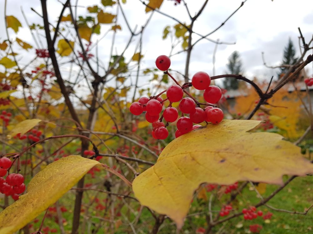 Фотография автора Anzhelika