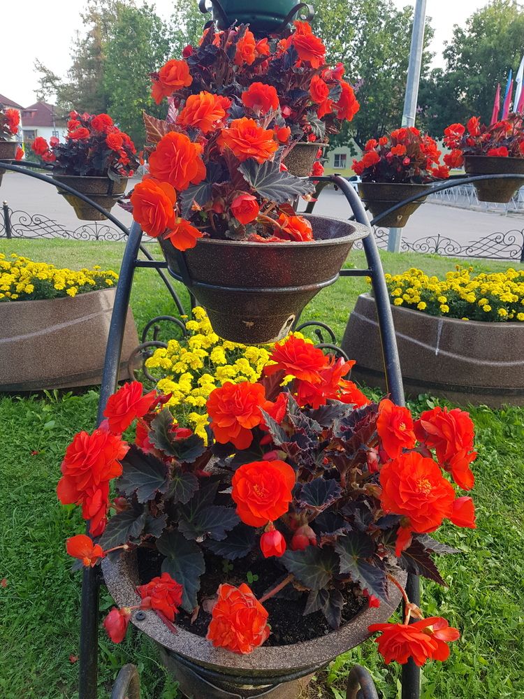 Фотография автора Anzhelika