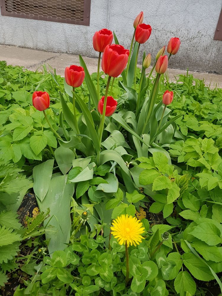 Фотография автора Anzhelika