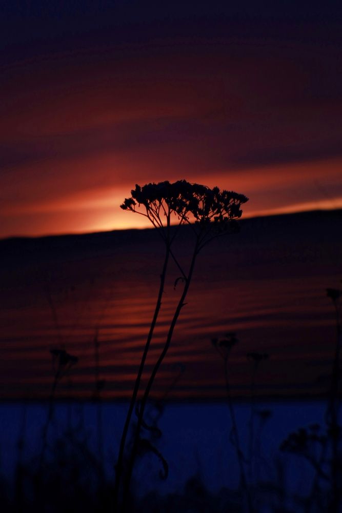 Photograph by Елена Шишкина