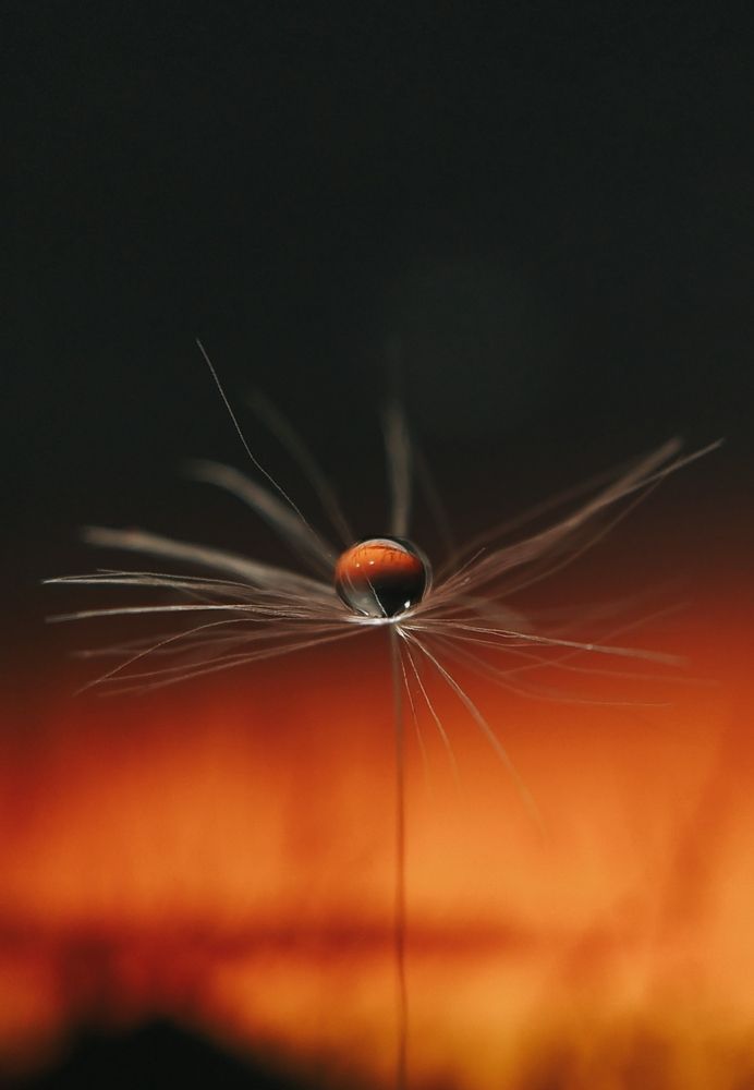 Фотография автора Наталья Алексеева