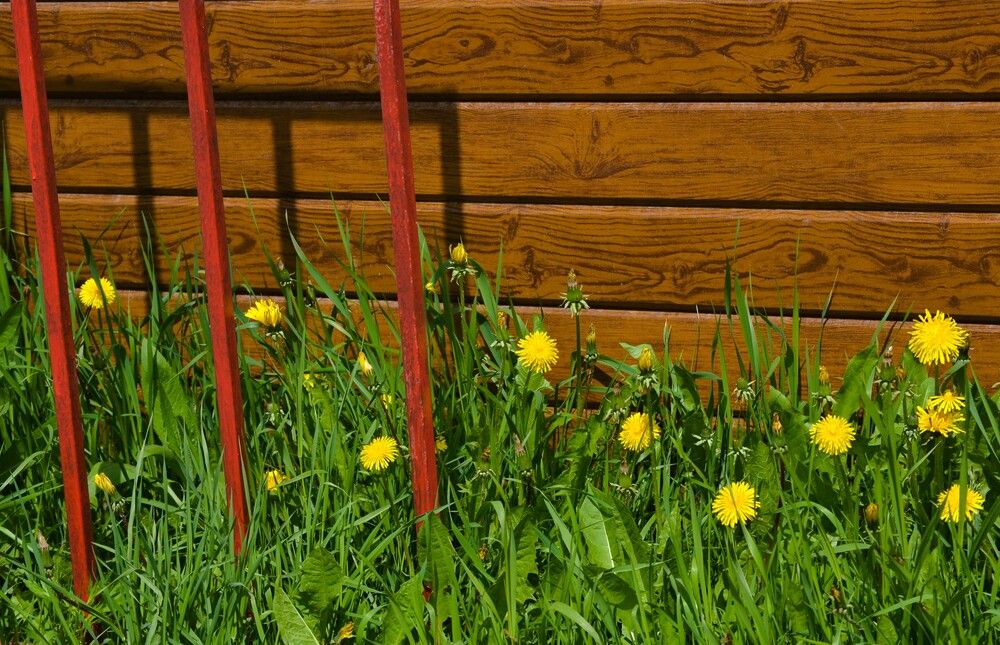 Photograph by Ения Семина