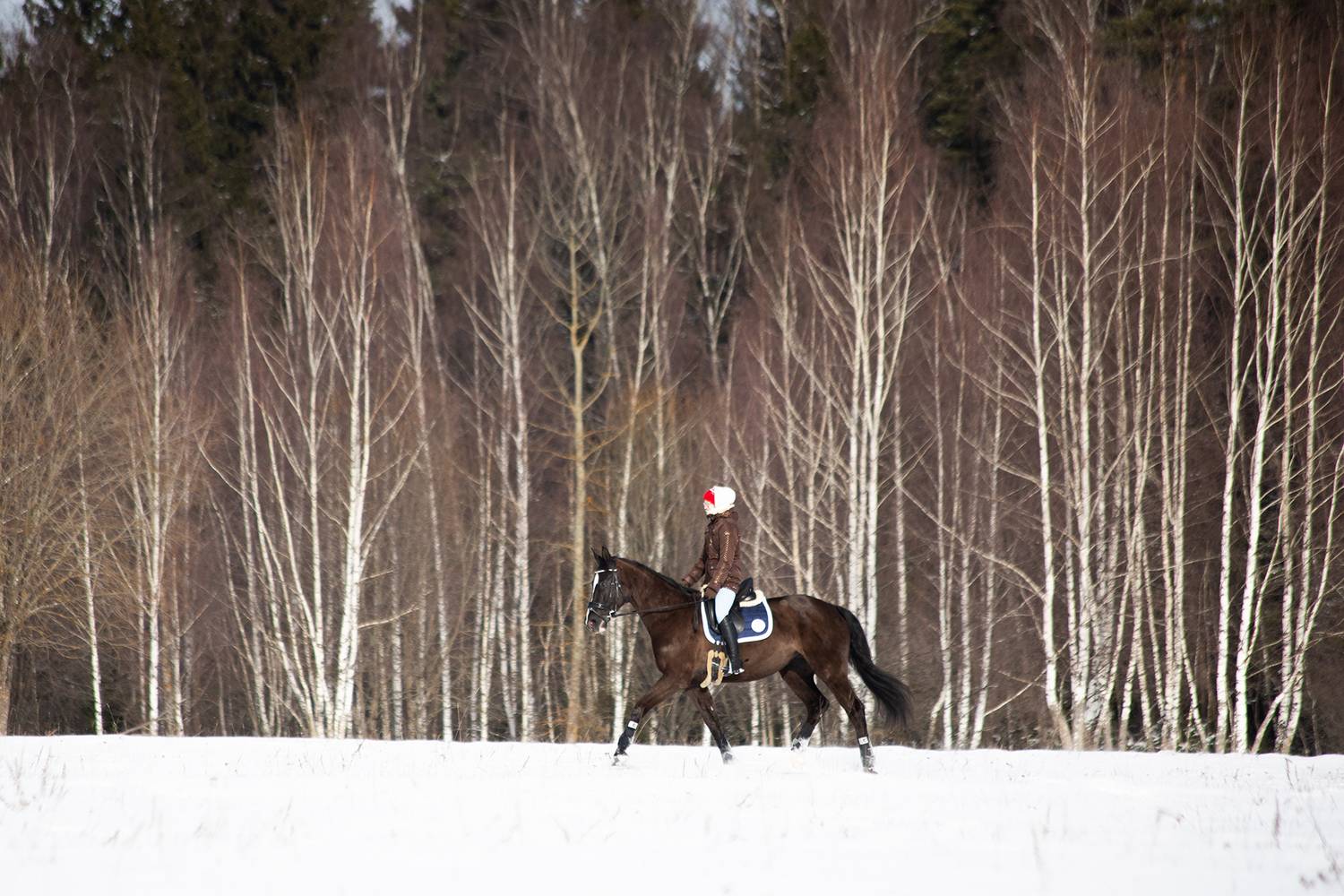 Фотография #13422488