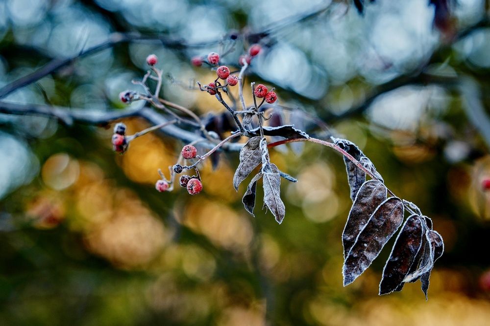 Фотография автора Яна Егорова