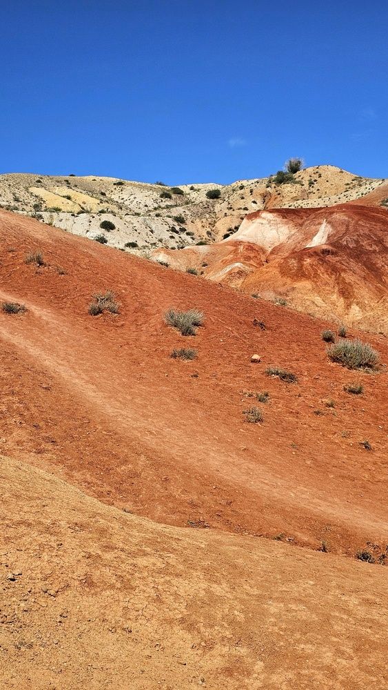 Марс. Горный Алтай