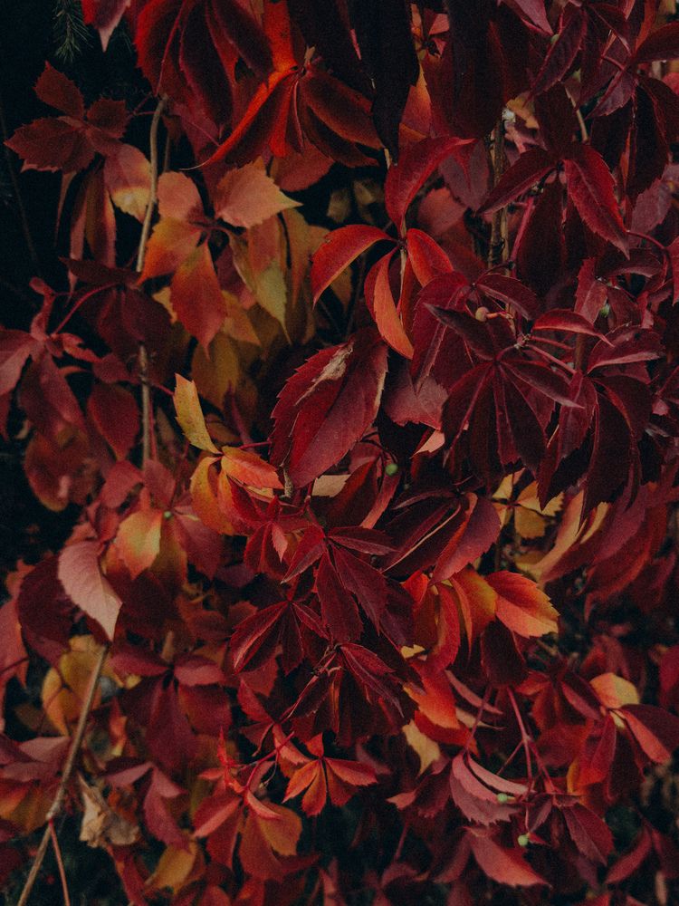 Photograph by Ляйсан Саляхиева