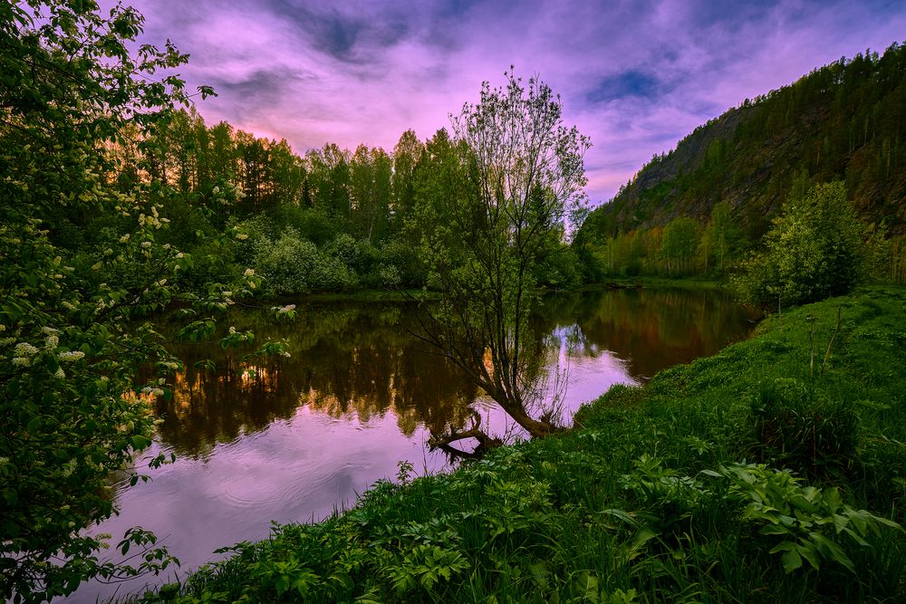 Вечер в черёмуховом краю.