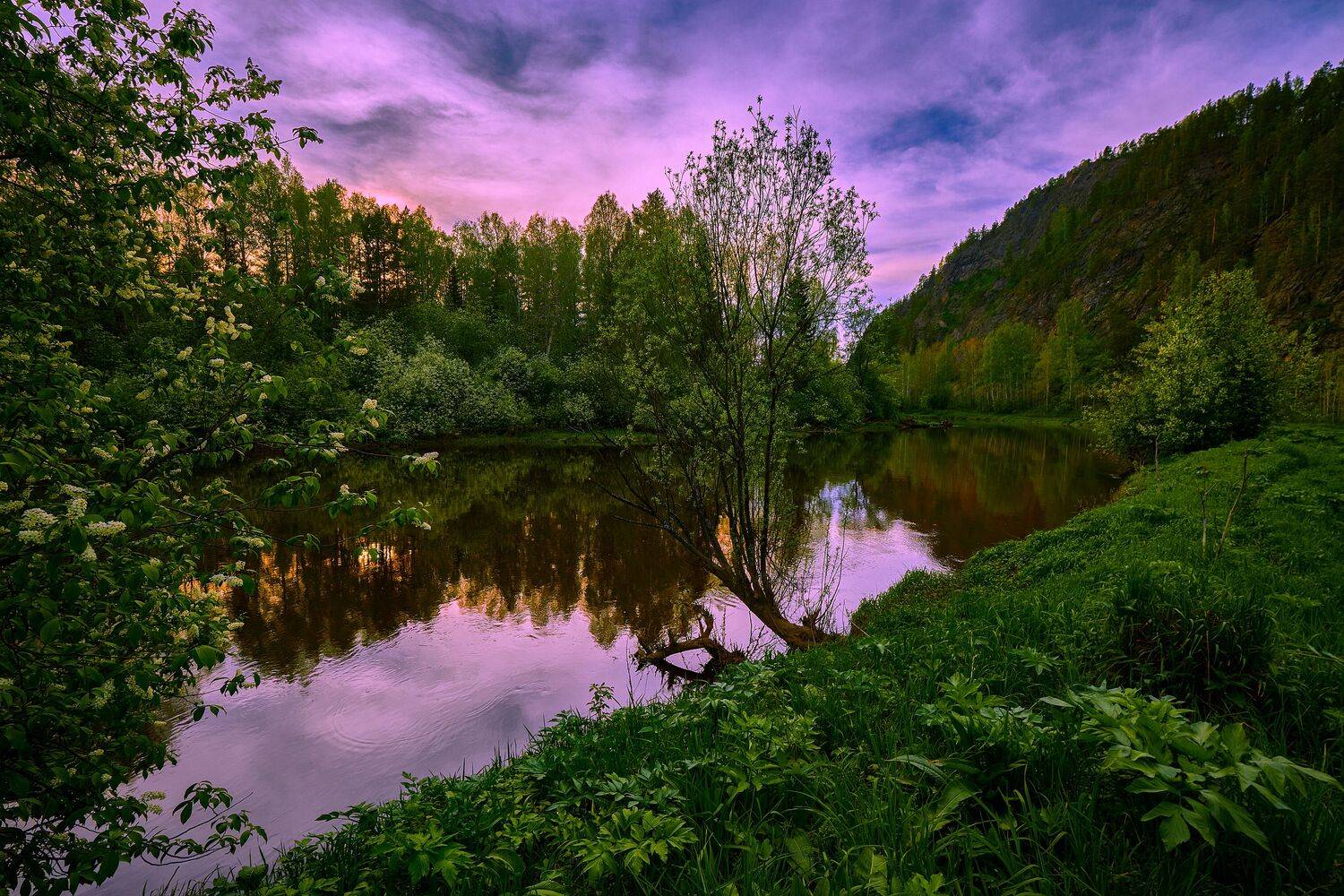 Вечер в черёмуховом краю.